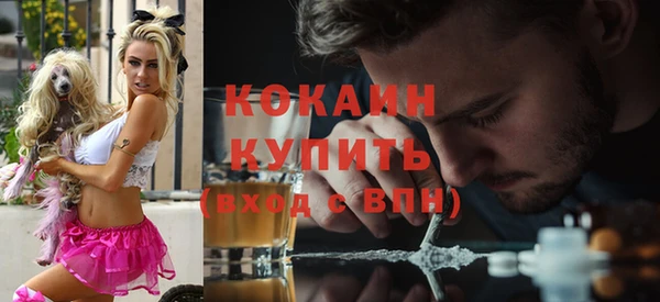 стаф Горнозаводск