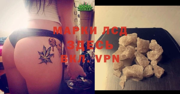 стаф Горнозаводск