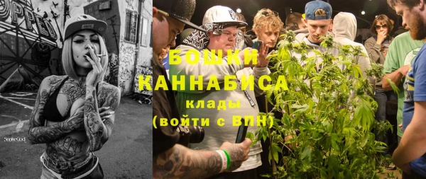 стаф Горнозаводск