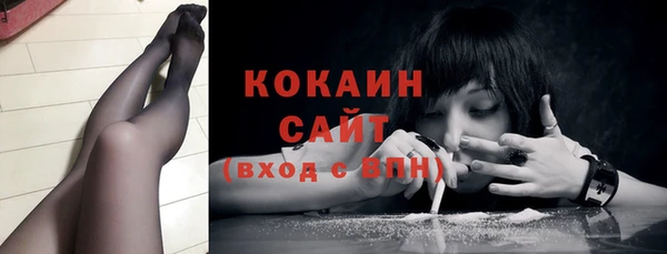 стаф Горнозаводск