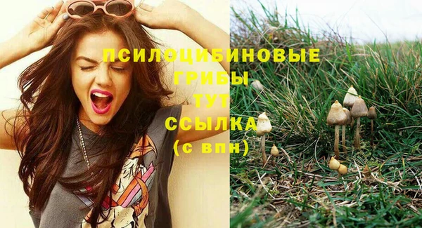 стаф Горнозаводск