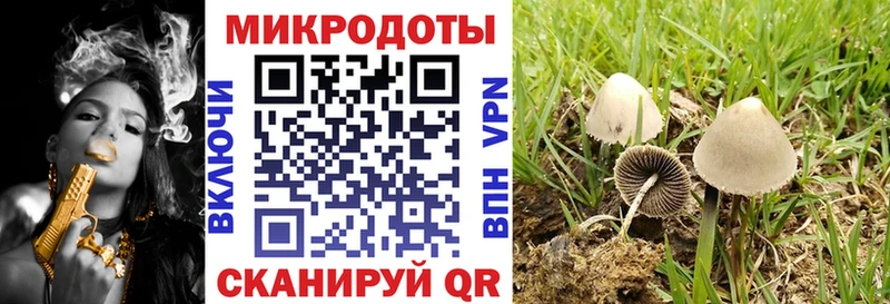 Галлюциногенные грибы MAGIC MUSHROOMS  Купить  Кирс 