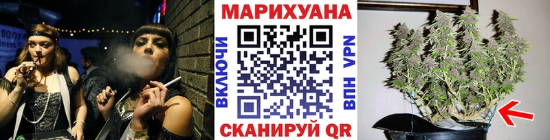 Канабис конопля Кирс